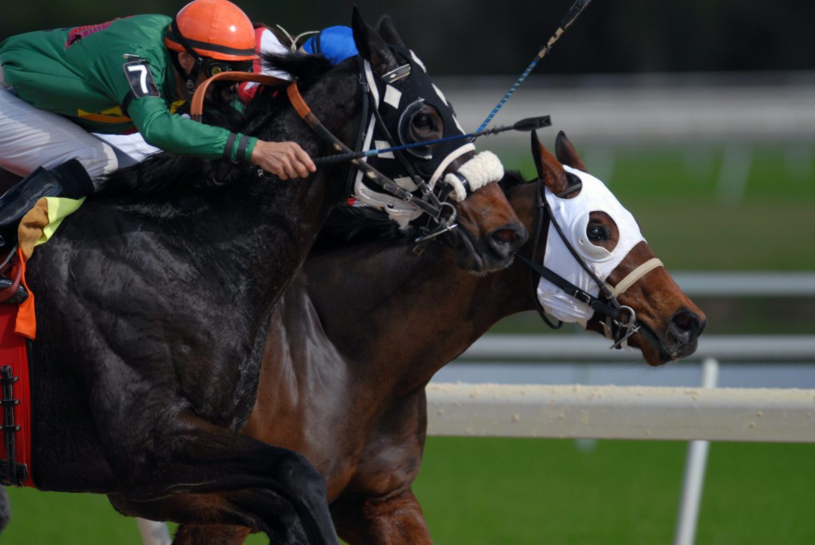 Preakness Betting - What is A Trifecta Bet? Horse Betting Trifecta Bets  Explained